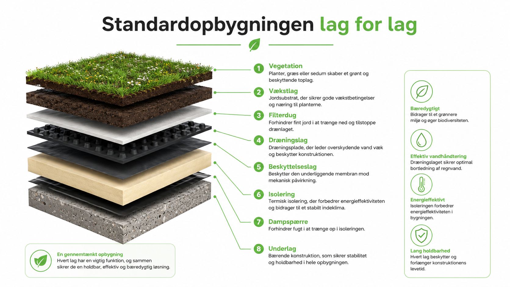 En detaljeret illustration af standardopbygningen af et grønt tag opdelt i otte forskellige lag fra top til bund.
