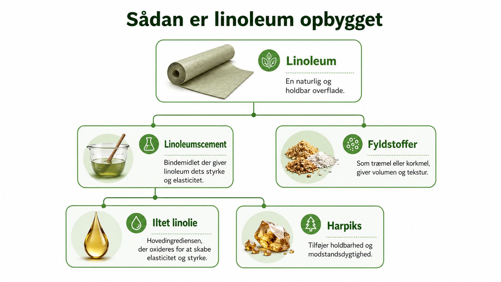 En infografik der viser sammensætningen af linoleum, herunder linoleumscement, fyldstoffer, iltet linolie og harpiks som centrale ingredienser.